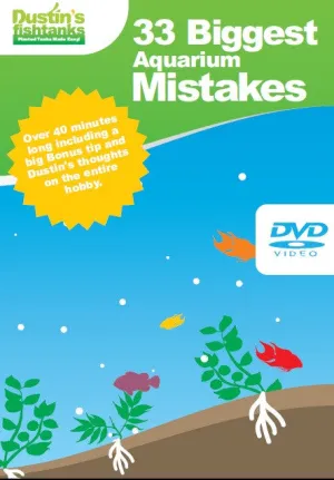 33 Biggest Mistakes in your Aquarium