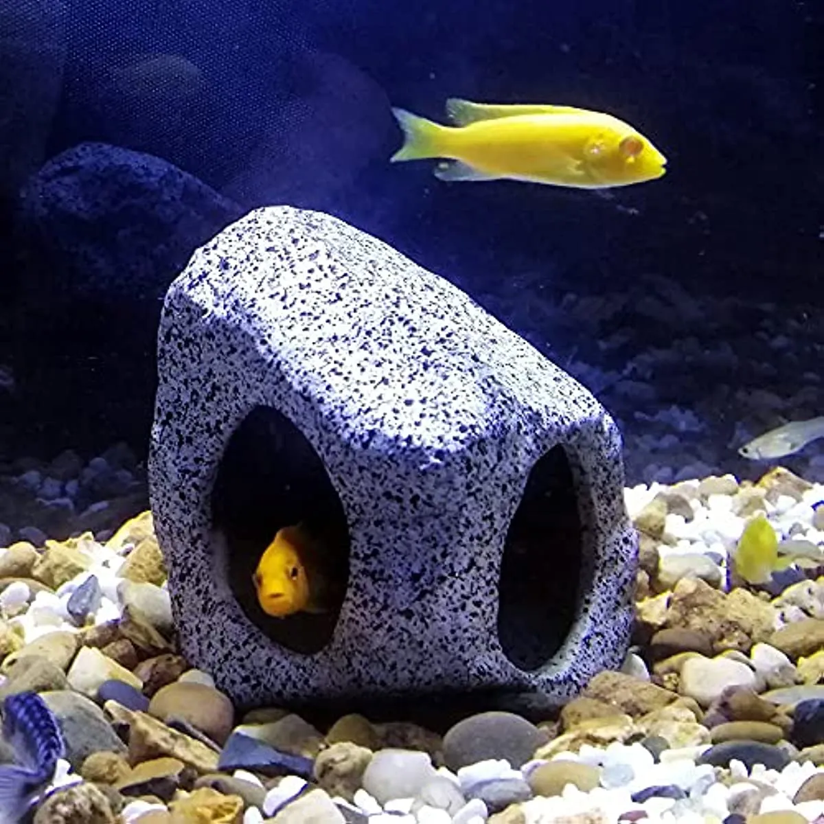 Aquatic Pets Hideaway Rock Cave for Breeding Playing and Resting