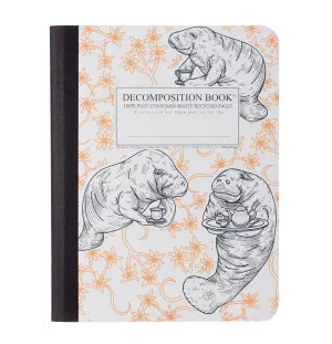 Manatea Decomposition Notebook