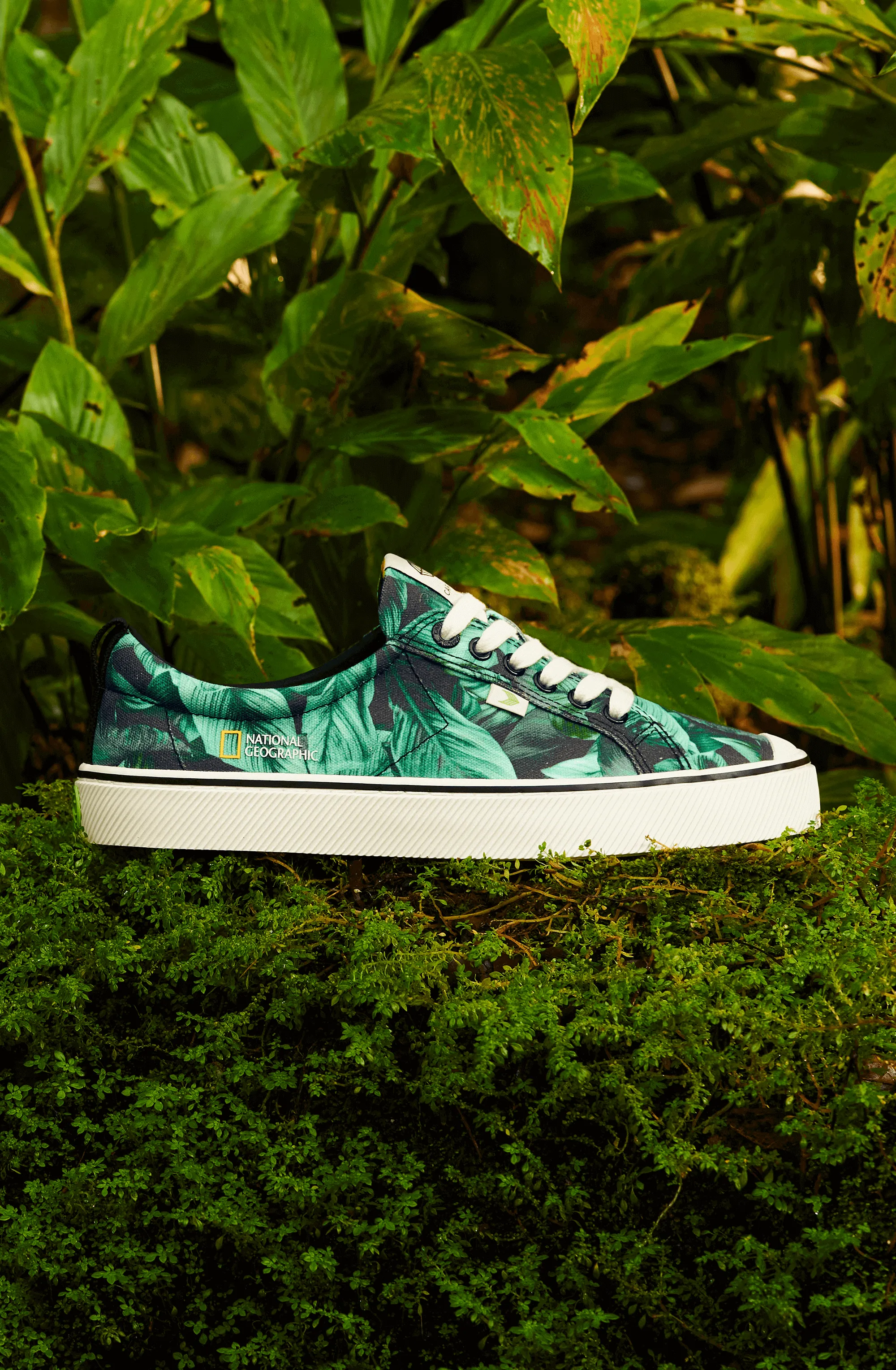 OCA Low NATGEO Green Foliage Print Canvas Sneaker Men