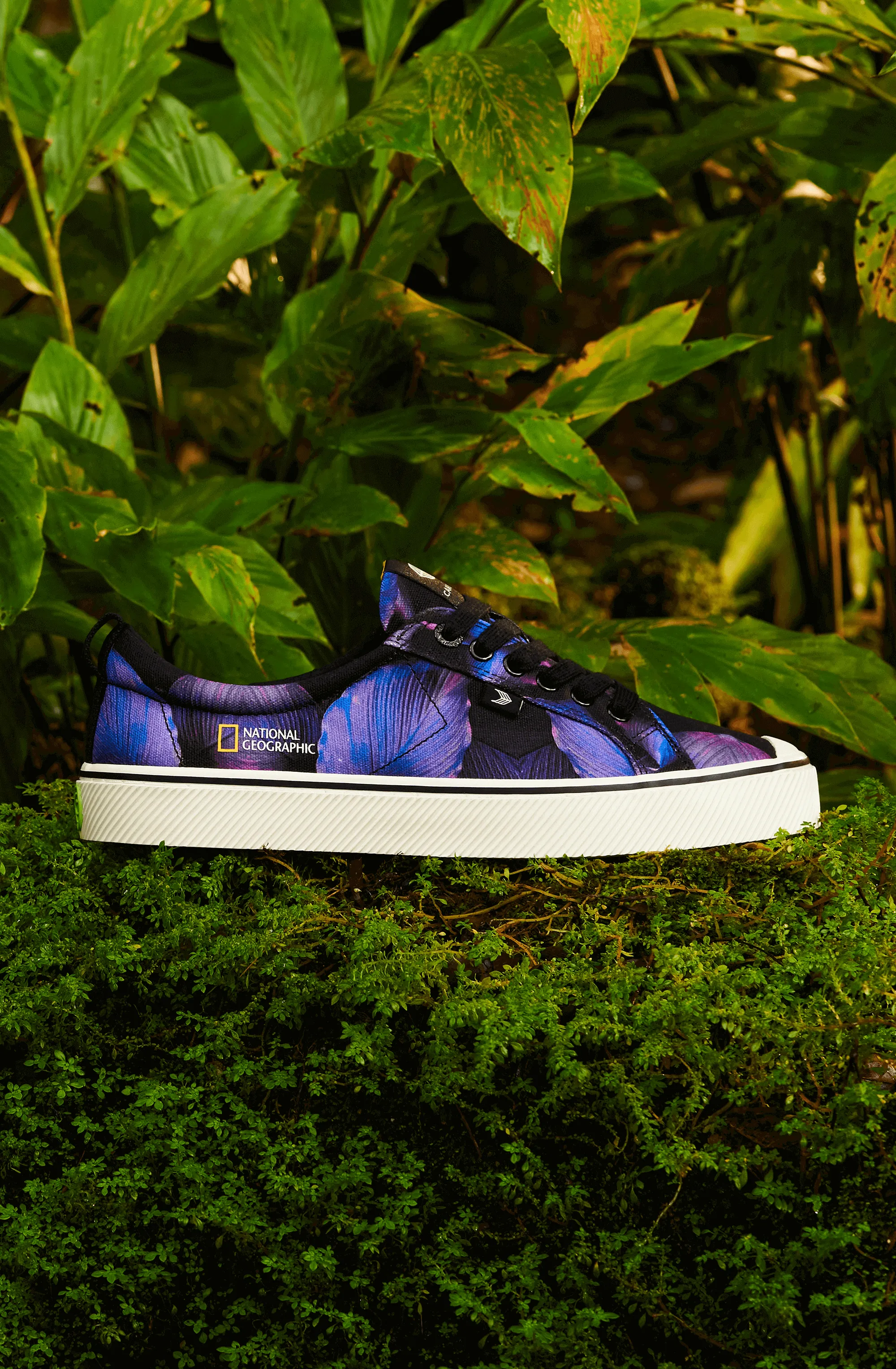 OCA Low NATGEO Purple Foliage Print Canvas Sneaker Men